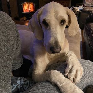 Meet your Posher, Charlene